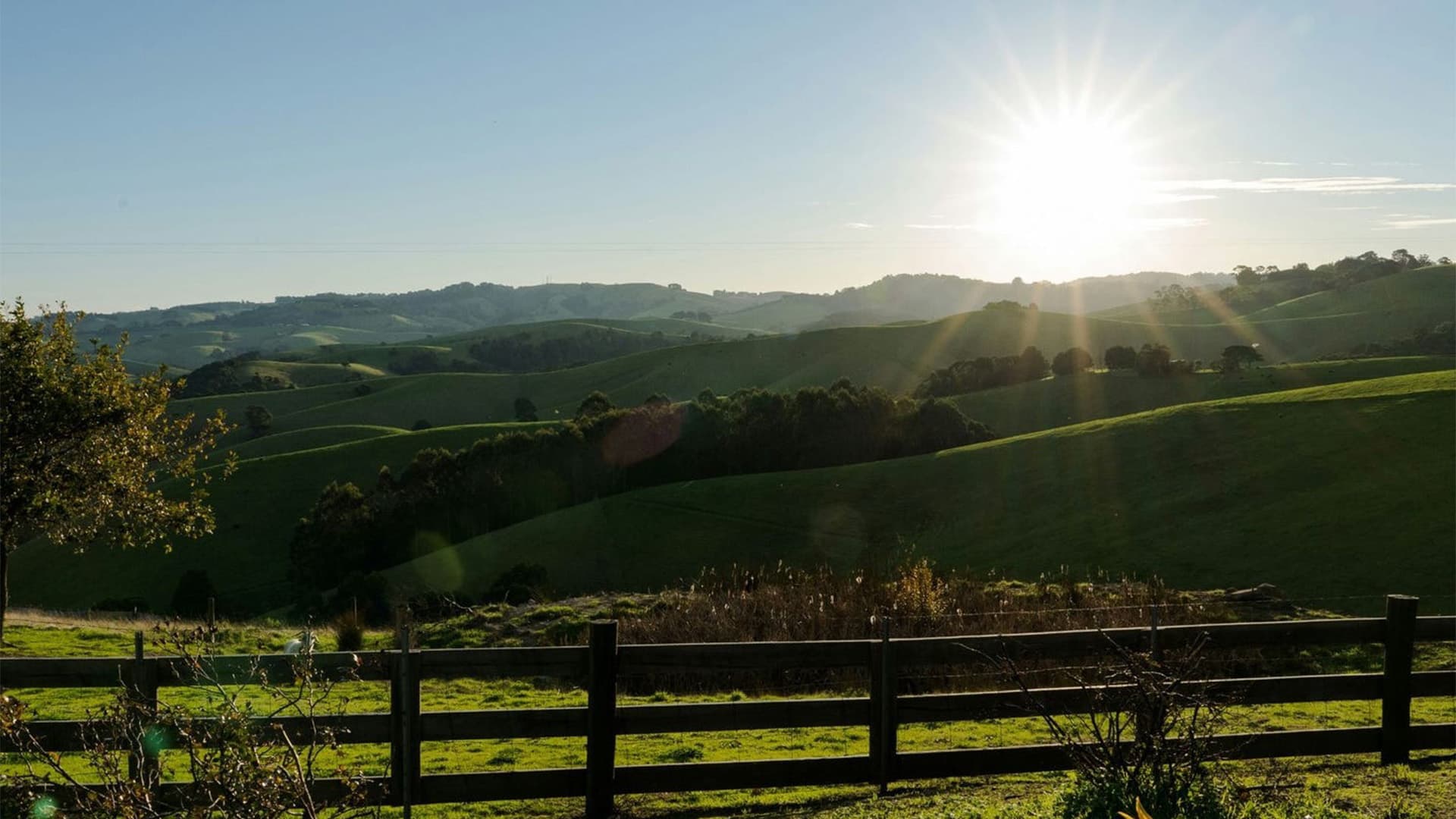 Rolling green hills under a clear blue sky with the sun shining brightly near the horizon. A wooden fence and some shrubs are visible in the foreground, casting gentle shadows on the grass.