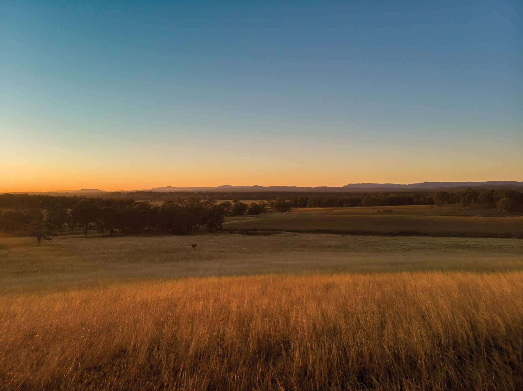 Golden grass fields stretch out under a clear sky at sunset, with distant trees and low mountains silhouetted along the horizon, creating a peaceful rural landscape.