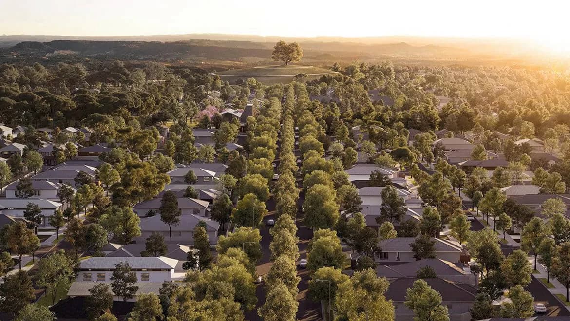Aerial view of a suburban neighborhood lined with trees along the streets, houses on both sides, and a single large tree on a hill in the distance at sunset.